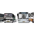 Multiple Different Model Buses Featuring White And Green Colors Front View Fleet