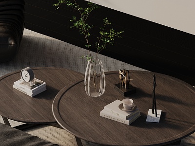 Modern coffee table model