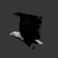 3D Rendered Eagle Animal Artwork With Spread Wings Gray Background And Floor Reflection