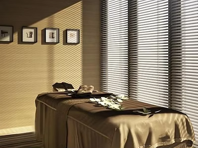 Comfortable Massage Bed With Brown Linen Cover Soft Natural Light And Vertical Blinds 3d model