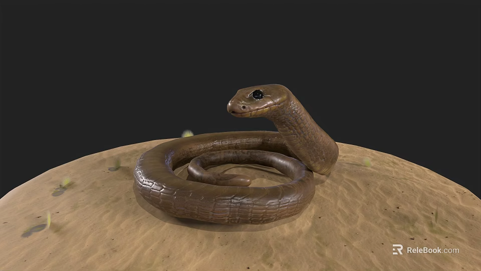 Brown Reptile Snake Coiled On Sandy Ground With Raised Head 3d model 