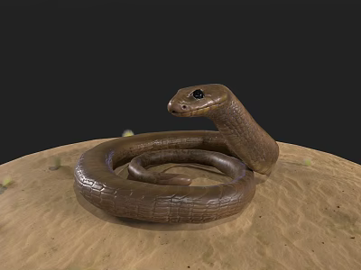 Brown Reptile Snake Coiled On Sandy Ground With Raised Head 3d model