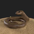 Brown Reptile Snake Coiled On Sandy Ground With Raised Head 3d model