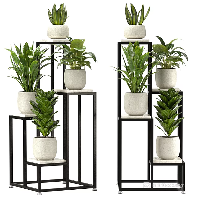 Bonsai Potted Plants With Multiple Green Plants On Black Metal Stands And White Pots For Home Decor 3d model 