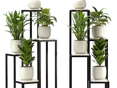 Bonsai Potted Plants With Multiple Green Plants On Black Metal Stands And White Pots For Home Decor 3d model