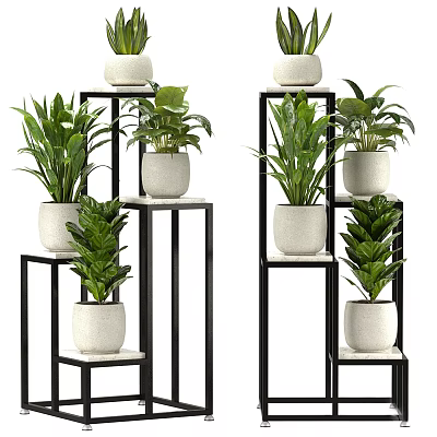 Bonsai Potted Plants With Multiple Green Plants On Black Metal Stands And White Pots For Home Decor 3d model