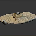 Decorative Shell Shaped Home Decor With Woven Texture Gemstone And Pearl Accents