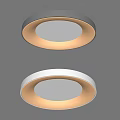 Modern Round Ceiling Lights With White And Gray Frames For Interior Decoration 3d model