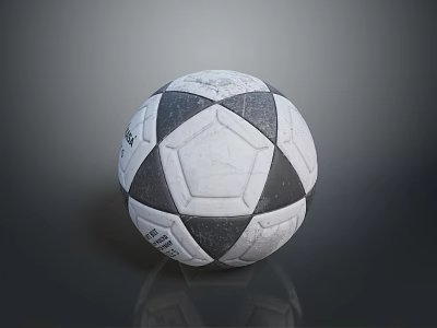 Black And White Football Sports Equipment With Classic Geometric Pattern Design 3d model