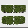 Lush Green Plant Wall With Dense Foliage For Vertical Garden Decor