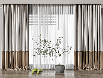 Modern Curtains 3d model