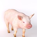 pig livestock 3d model