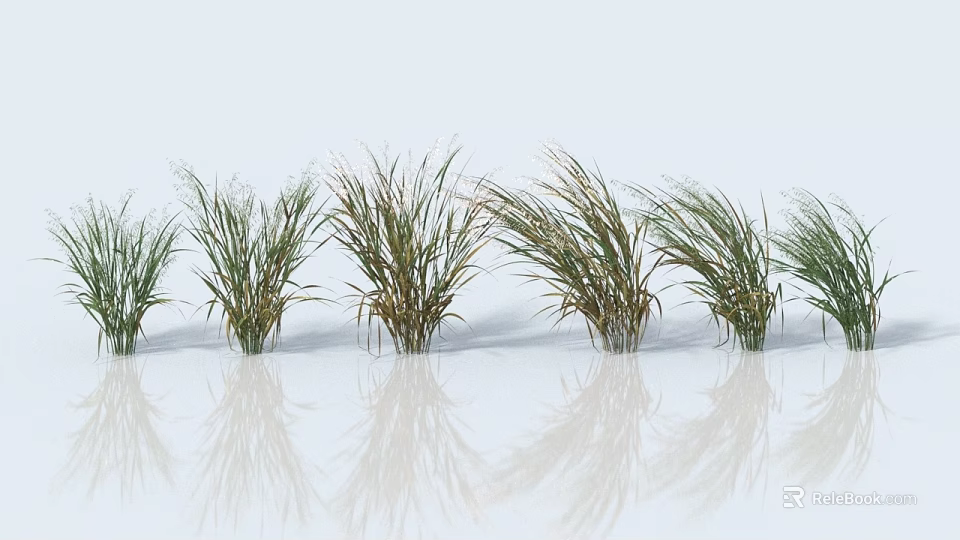Crop Plants With Green Leaves Arranged Neatly On White Background With Reflections 3d model 