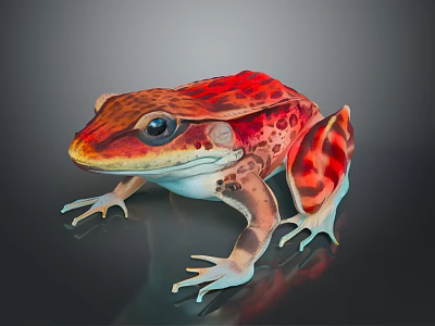 Vibrant Red And Orange Spotted Frog With Blue Eyes On Gray Background 3d model