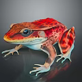 Vibrant Red And Orange Spotted Frog With Blue Eyes On Gray Background