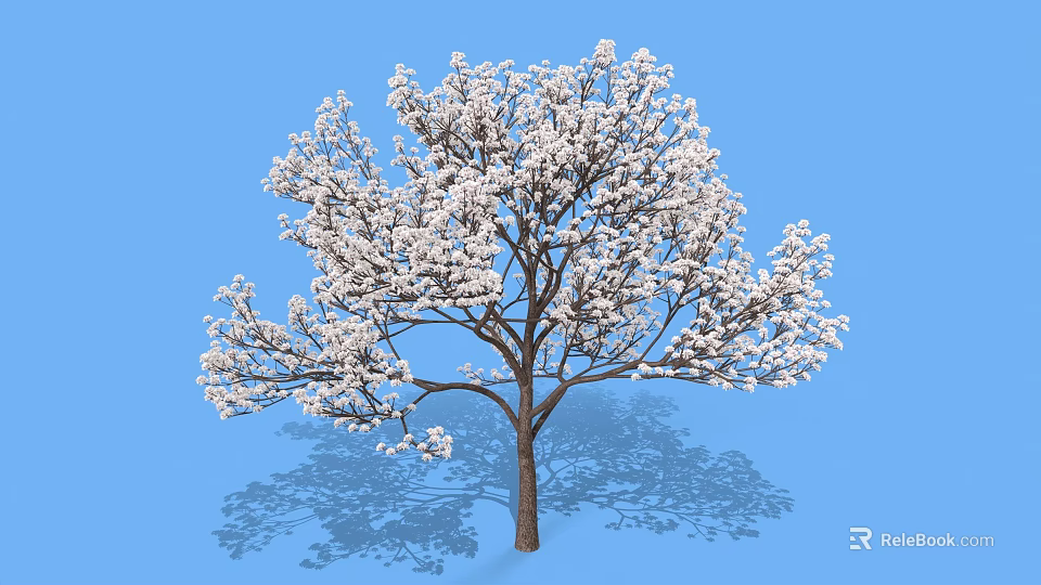 Lush White Flowering Shrub With Dense Branches And Shadow Against Blue Sky 3d model 