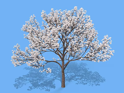 Lush White Flowering Shrub With Dense Branches And Shadow Against Blue Sky 3d model