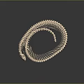 Detailed Snake Skeleton In Coiled Spiral Shape With Light Beige Hue And Smooth Texture