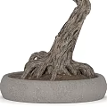 Bonsai Tree With Twisted Trunk Exposed Roots And Lush Green Leaves For Indoor Decor