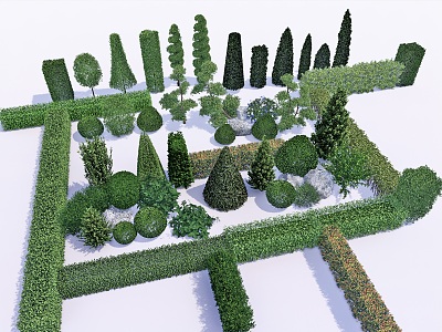 shrub spherical vegetation spherical plant hedgerow green belt plant combination plant wall 3d model