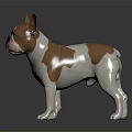 Brown And White Boston Terrier Standing On Black Background Realistic