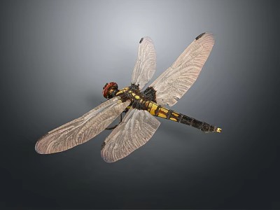 Detailed Decorative Dragonfly Model With Transparent Wings Red Head And Black Yellow Body 3d model