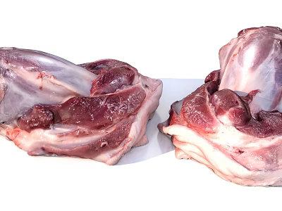 Fresh Uncooked Raw Meat Pieces Displayed on White Surface for Cooking Preparation 3d model