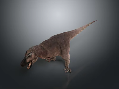 Tyrannosaurus Rex 3D Model With Open Mouth Sharp Teeth And Long Tail 3d model