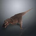 Tyrannosaurus Rex 3D Model With Open Mouth Sharp Teeth And Long Tail