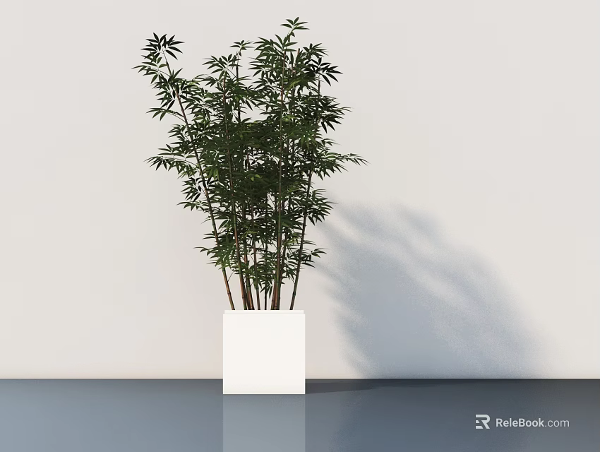 Indoor Bonsai Bamboo Plant in White Square Pot with Lush Green Leaves 3d model 