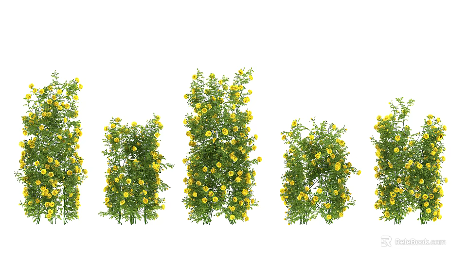 Decorative Green Vines With Yellow Flowers Arranged In Different Shapes 3d model 