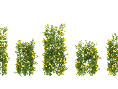 Decorative Green Vines With Yellow Flowers Arranged In Different Shapes 3d model