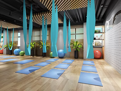 Yoga Studio Interior Featuring Blue Hammocks Yoga Mats Colorful Exercise Balls Wooden Floors And Plants 3d model