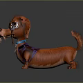 Cute Cartoon Dachshund With Orange Fur Blue Collar Purple Vest Standing On Dark Background