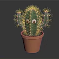 Cute Cartoon Cactus Scene With Playful Eyes In Terracotta Flower Pot
