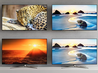 Multiple TV Screens Display Leopard Sunrise And Beach Rock Nature Scenes 3d model