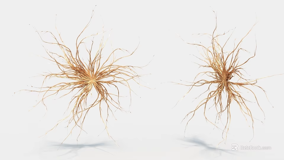 Creative Art Installation With Two Plant Root Like Radiating Slender Brown Lines On Light Background 3d model