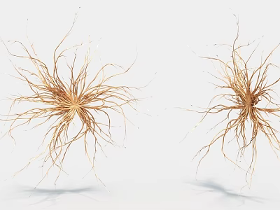 Creative Art Installation With Two Plant Root Like Radiating Slender Brown Lines On Light Background 3d model