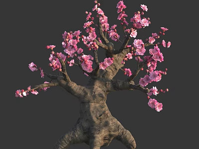 Beautiful Flowering Tree With Pink Blossoms And Thick Twisted Trunk 3d model