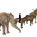 Reptile Animals In Wildlife Group With Giraffe Elephant Deer And Horses