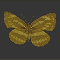 Modern Butterfly Colored Butterfly Tabby Butterfly Leaf Butterfly 3d model