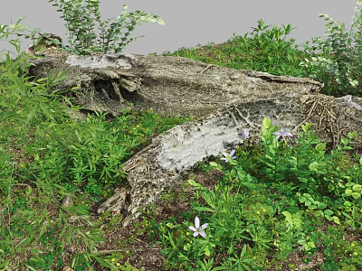Vibrant Flowers and Lush Green Plants Around Weathered Log in Natural Grass Setting 3d model