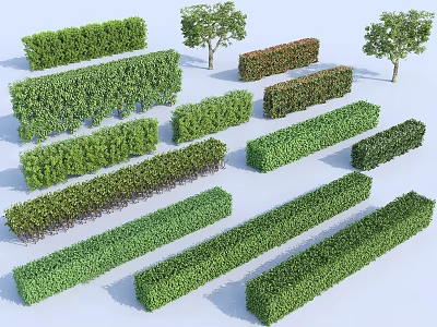 Various Trimmed Garden Shrubs And Hedges In Different Sizes And Shapes 3d model