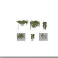 Decorative Flowering Vines With Pink Flowers And Different Shapes For Outdoor Garden Decor