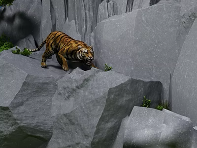 Tranquil Garden Landscape With Rocky Outcrops And Lush Green Vegetation 3d model