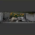 Yellow Flowers Growing in Circular Stone Planter with Soil and Broken Stones