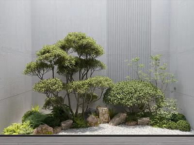 Tall Evergreen Trees In Modern Courtyard With Stones Shrubs And Gray Walls 3d model