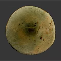 Green Capped Mushroom With Brown Spots And White Stem On Dark Background