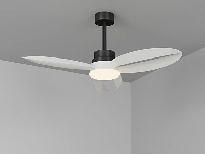Modern Ceiling Fan With Light White Blades And Black Base In Interior Space 3d model