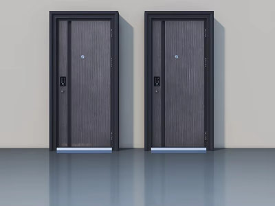 Two Modern Swing Doors With Dark Frames And Wooden Panel Interior Design 3d model